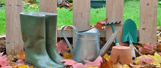 List of Fall Gardening