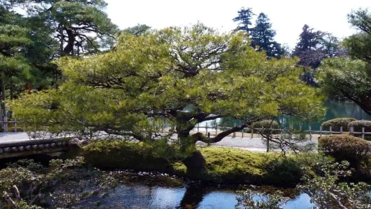 The Most Beautiful Japanese Gardens from Japan