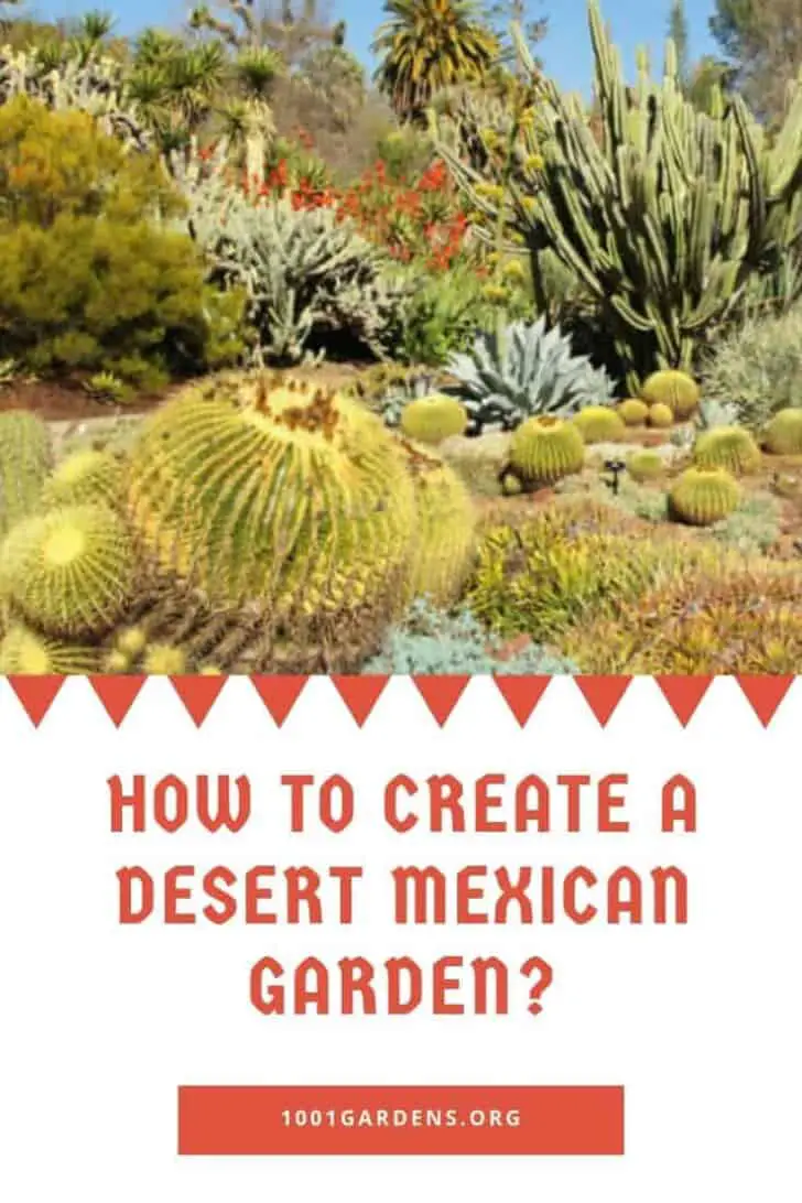 How to Create a Desert Mexican Garden?