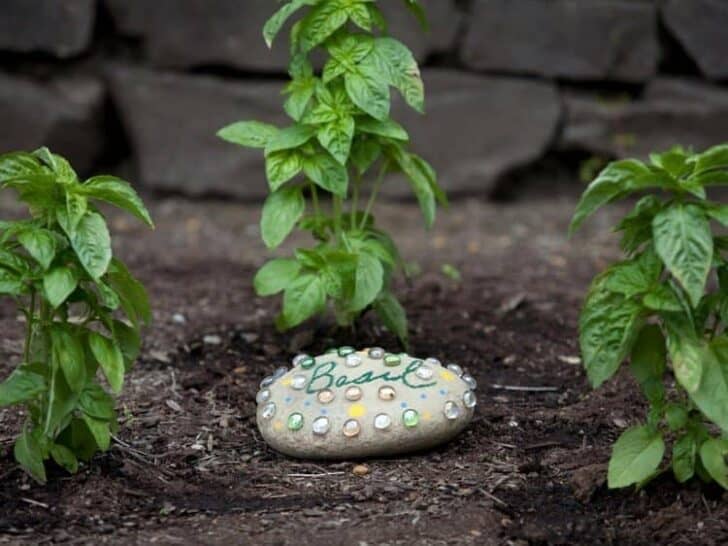 20 DIY Ideas for Garden Decor with Pebbles and Stones