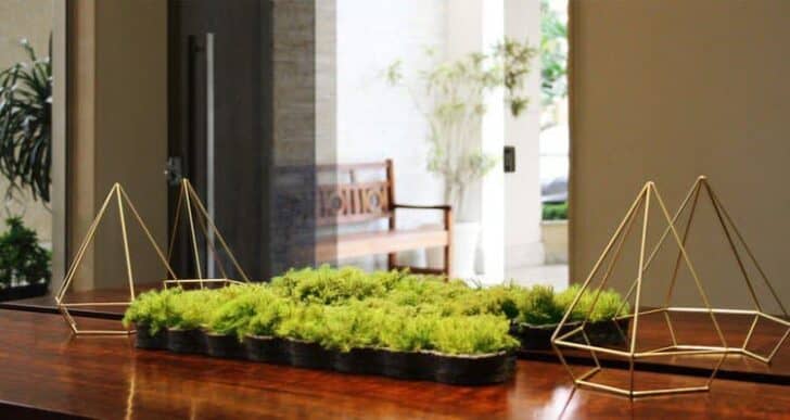 30 Indoor & Outdoor Moss Decorative Ideas