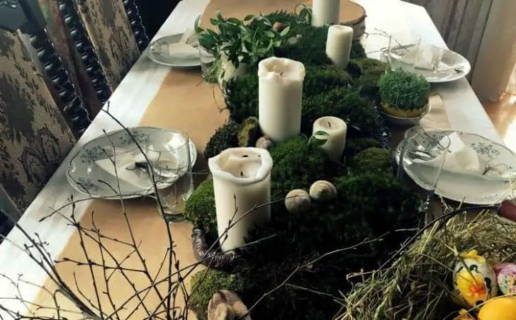 30 Indoor & Outdoor Moss Decorative Ideas