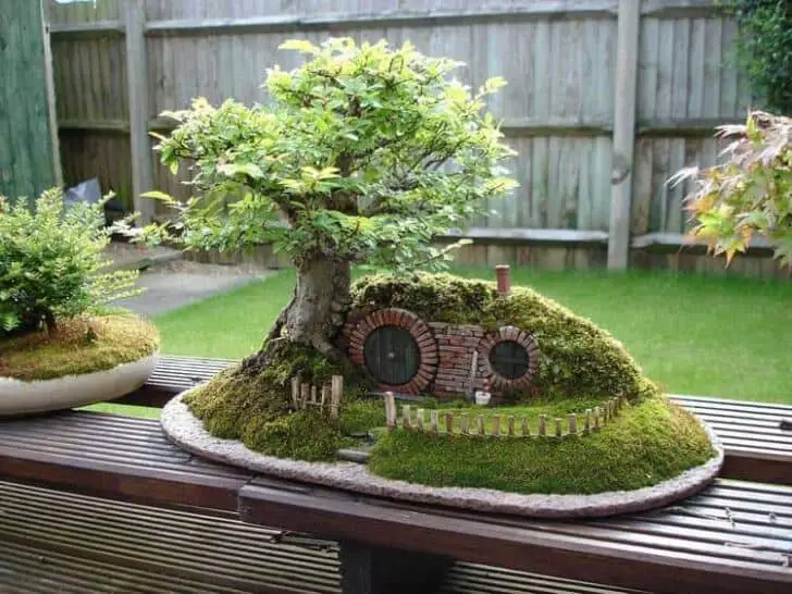 30 Indoor & Outdoor Moss Decorative Ideas