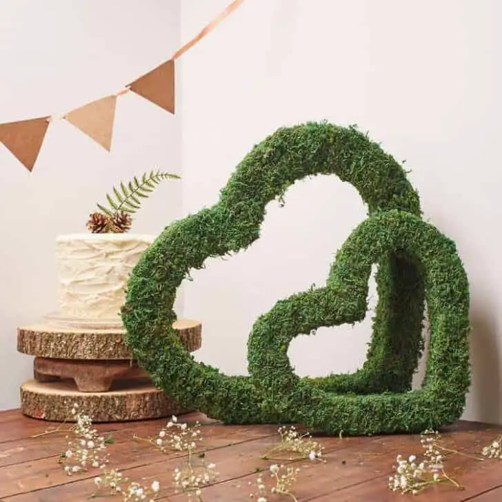 30 Indoor & Outdoor Moss Decorative Ideas