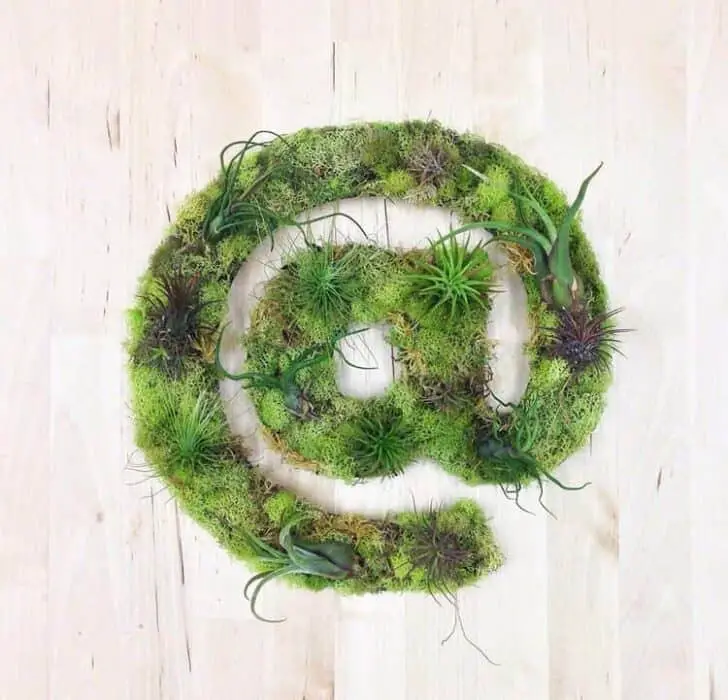 30 Indoor & Outdoor Moss Decorative Ideas