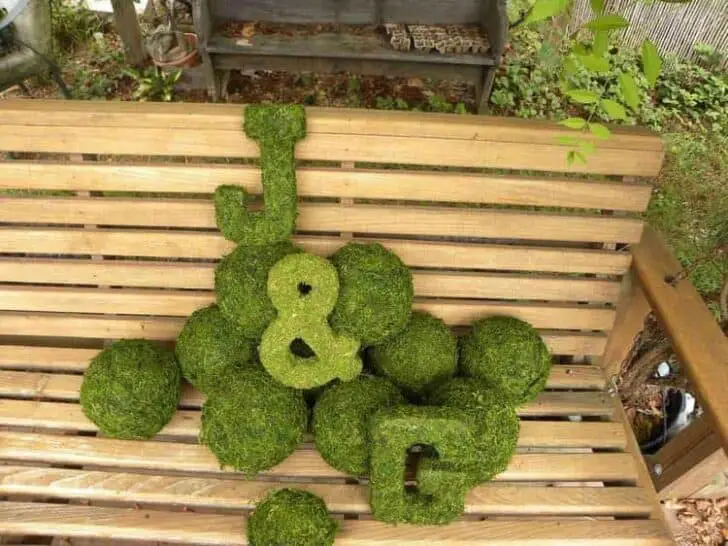 30 Indoor & Outdoor Moss Decorative Ideas