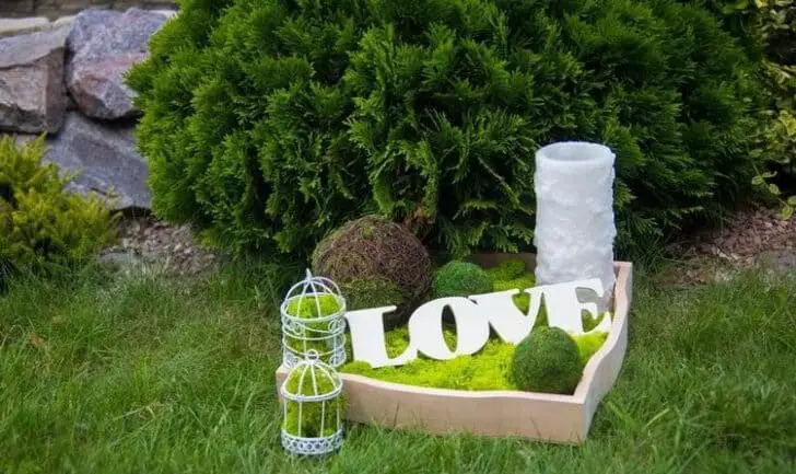 30 Indoor & Outdoor Moss Decorative Ideas