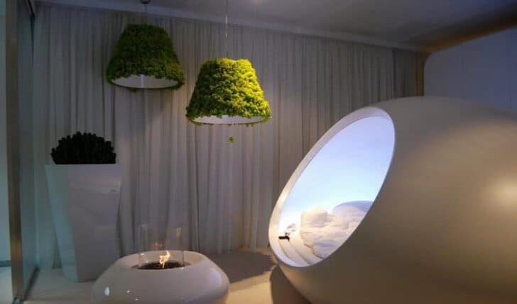 30 Indoor & Outdoor Moss Decorative Ideas