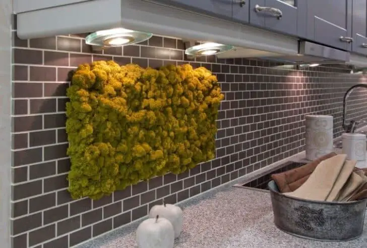 30 Indoor & Outdoor Moss Decorative Ideas