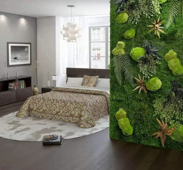 30 Indoor & Outdoor Moss Decorative Ideas