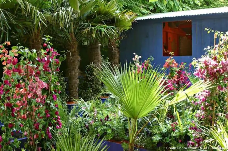 Create a Sustainable Tropical Garden