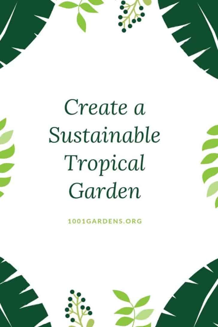 Create a Sustainable Tropical Garden