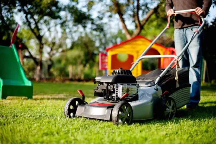 How to Choose the Best Lawn Mower 1 - Garden Tools - 1001 Gardens How to Choose the Best Lawn Mower