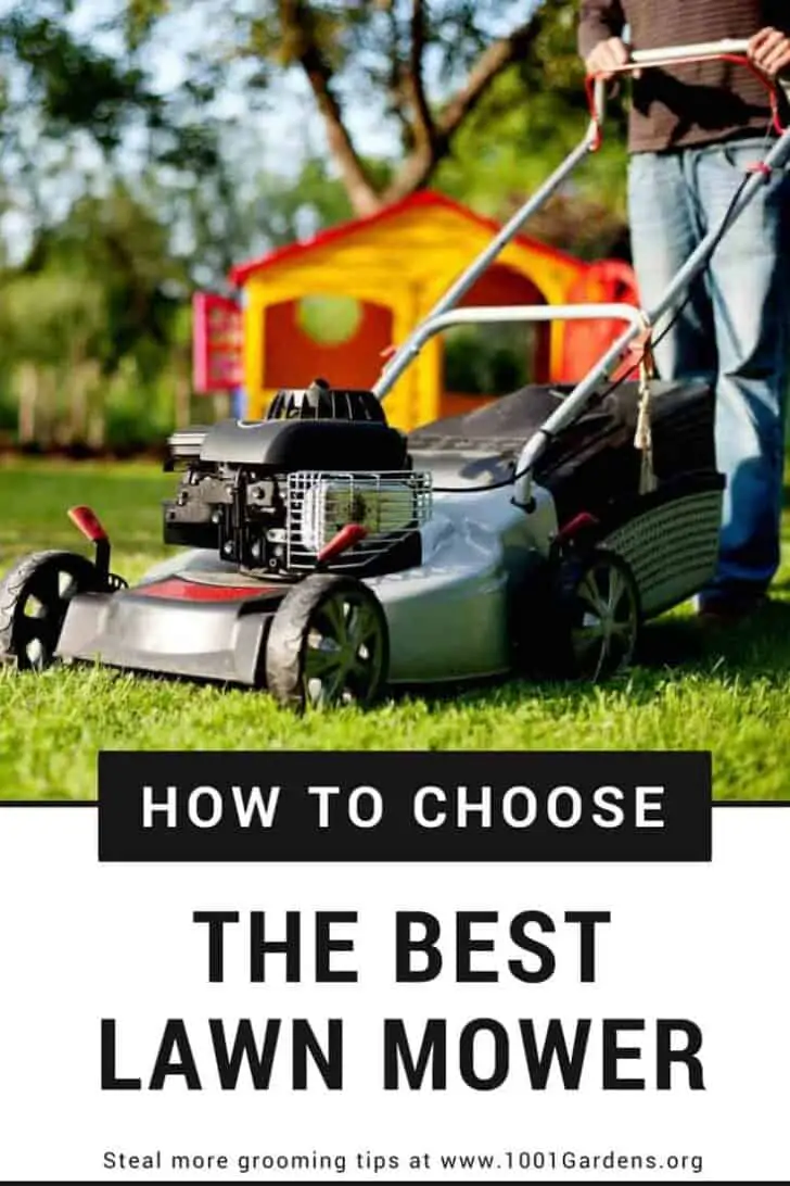 How to Choose the Best Lawn Mower