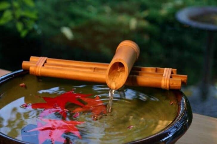Opt for a Bamboo Fountain