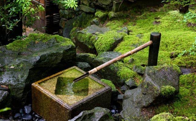 Opt for a Bamboo Fountain