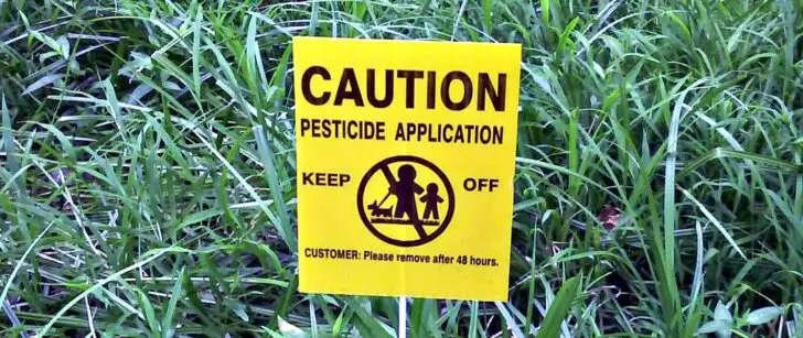 Common Causes For Sick Lawns 7 - Landscape & Backyard Ideas