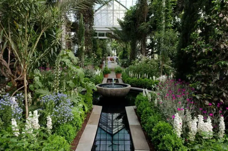 The Most Appealing Botanical Gardens across Us