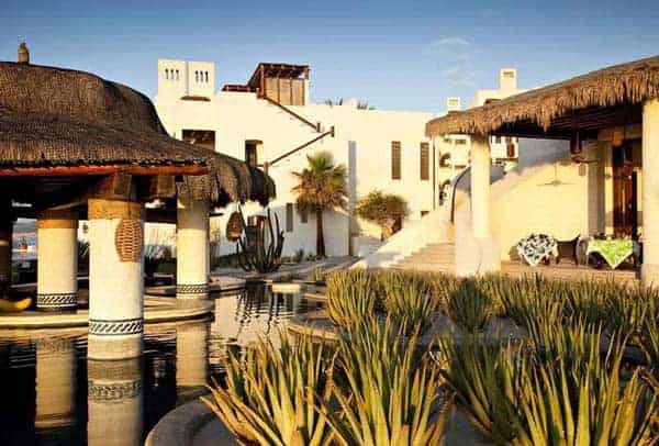Six Must-have Plants to Add to Your Pool Landscape 2 - Swimming Pools & Hot Tubs - 1001 Gardens Six Must-have Plants to Add to Your Pool Landscape 1 - Swimming Pools & Hot Tubs