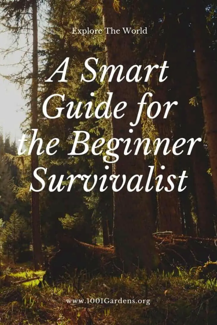 A Smart Guide for the Beginner Survivalist