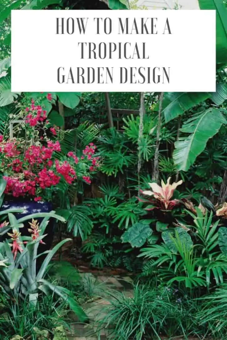 How to Make a Tropical Garden Design