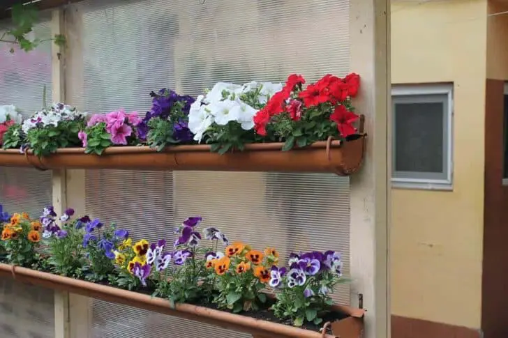 My Hanging Garden 7 - Flowers & Plants
