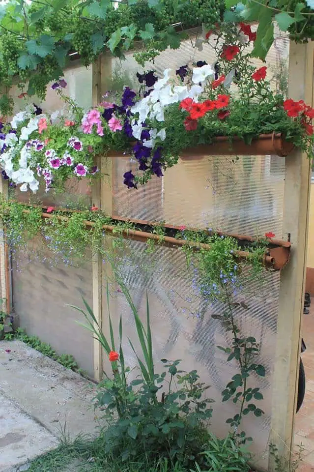 My Hanging Garden 4 - Flowers & Plants