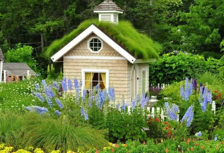 livable sheds guide and ideas • 1001 gardens