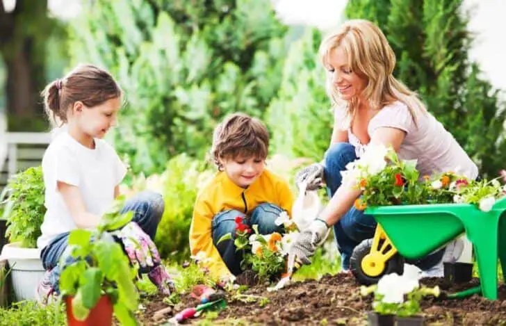 The Best Resolutions for a Good Garden Season in 2023 5 - Flowers & Plants