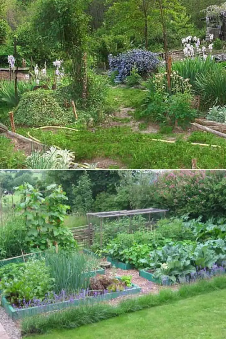 A Guide to Permaculture for the Beginners