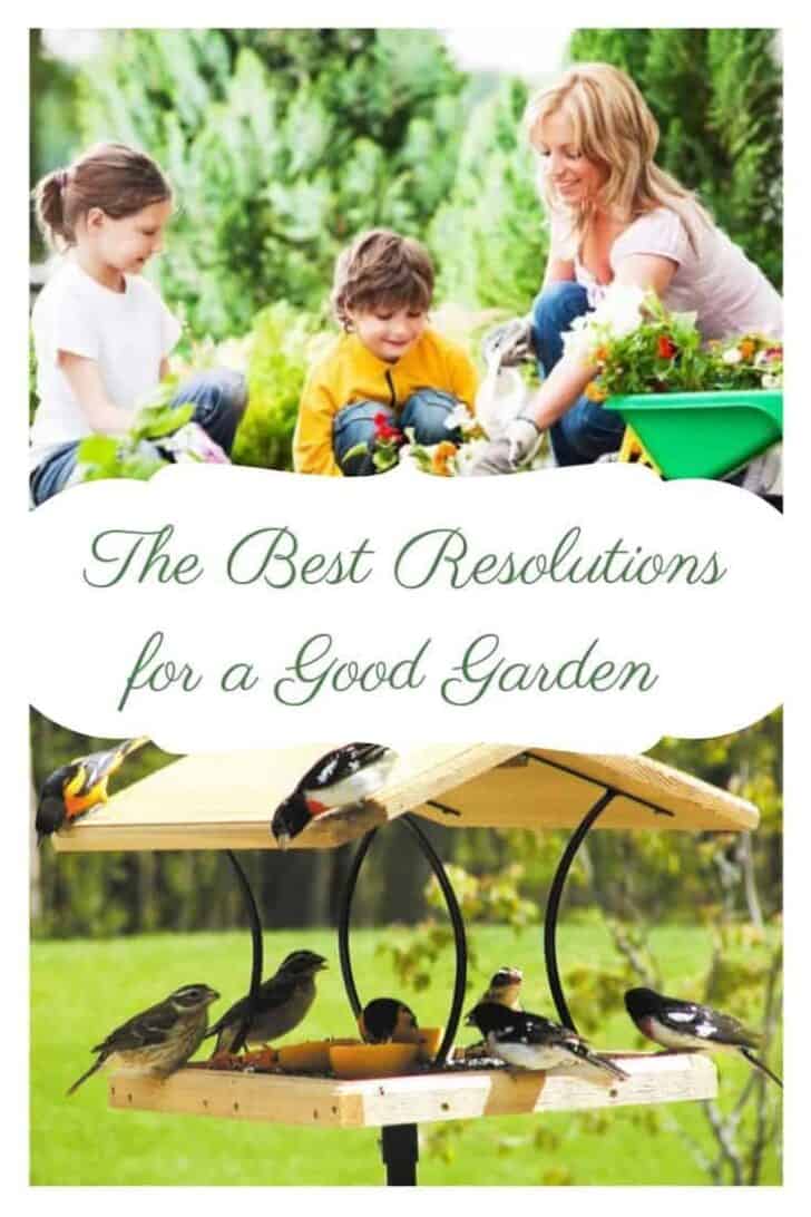 The Best Resolutions for a Good Garden Season in 2019 (updated)