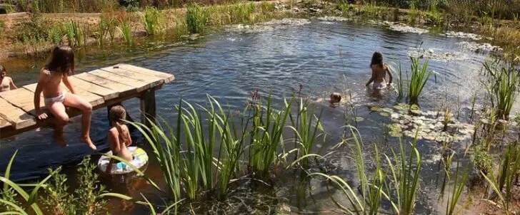 How to Build an Organic Natural Pool 1 - Garden Decor