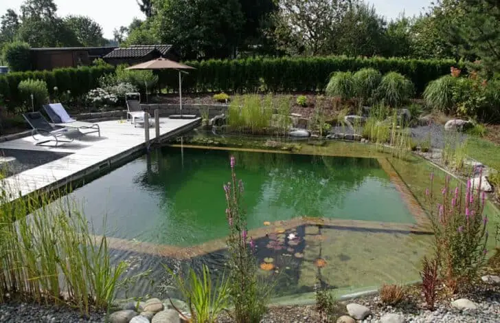 How to Build a Natural Organic Pool