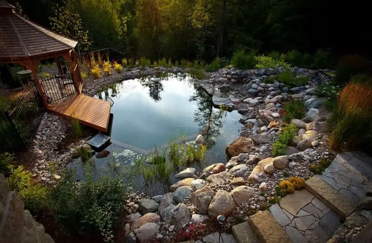 How to Build a Natural Organic Pool