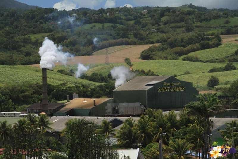 Saint James Plantation 1001 Gardens