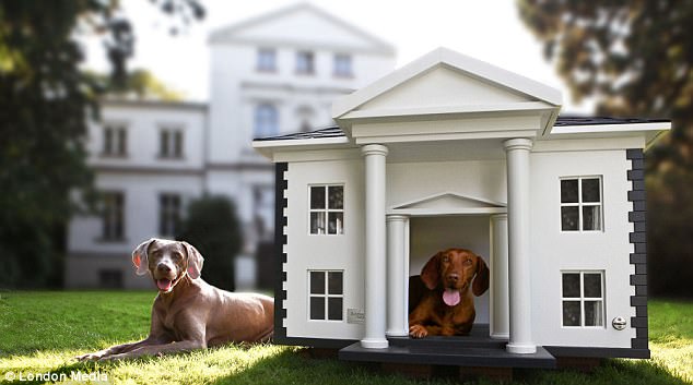 How to Choose the Best Outdoor Dog Kennel 1 - Garden Decor