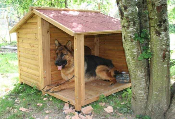 How to Choose the Best Outdoor Dog Kennel 5 - Garden Decor
