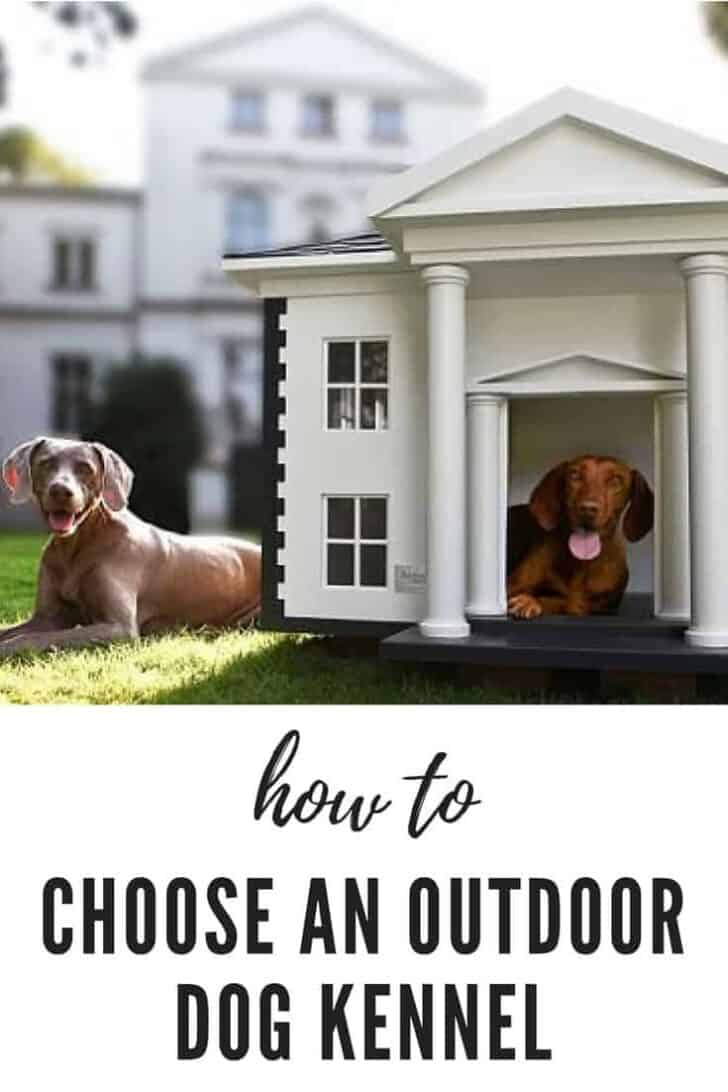 How to Choose the Best Outdoor Dog Kennel