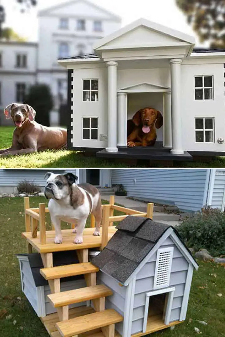 How to Choose the Best Outdoor Dog Kennel • 1001 Gardens