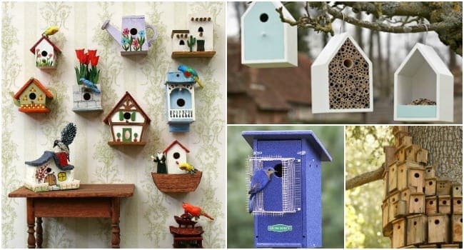 Decorative Bird Houses: 10 Rules to Follow 1 - Bird Feeders & Houses