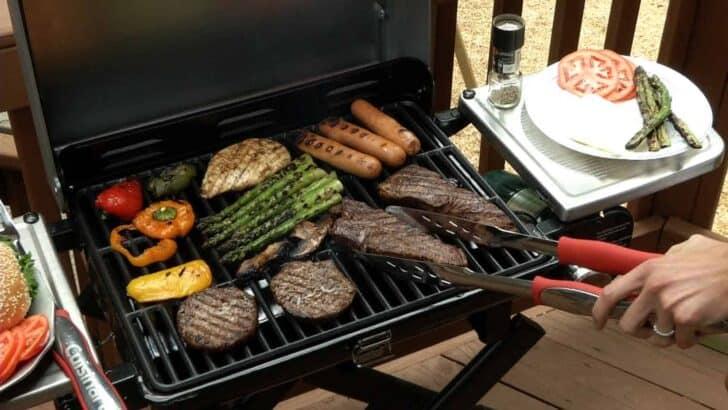 Best Portable Gas Grills 2018