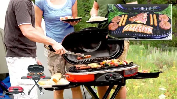 Best Portable Gas Grills 2018