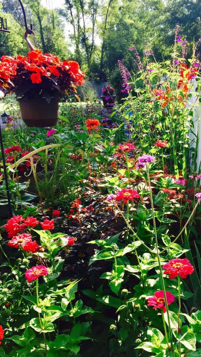 Just add it! If you like those colors and hanging baskets, perennials and annuals, just pop them into your Cottage Garden and have fun!