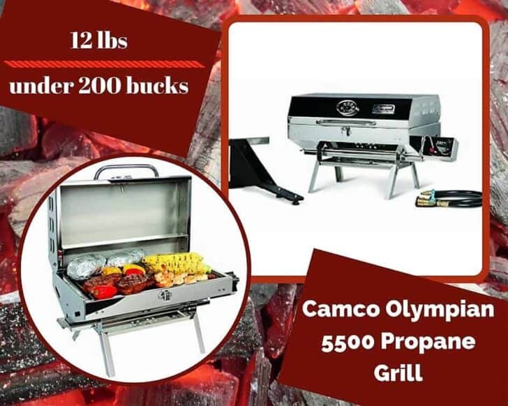 Top 6 Portable Gas Grills Are Tailgate Party Ready 1001 Gardens