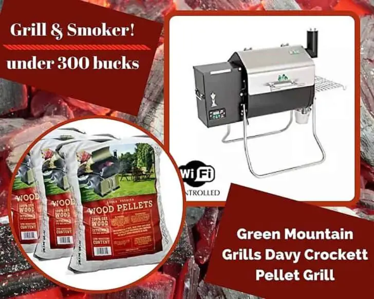 Top 6 Portable Gas Grills Are Tailgate Party Ready 1001 Gardens