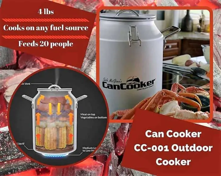 Top 6 Portable Gas Grills Are Tailgate Party Ready 1001 Gardens