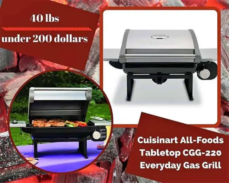 Top 6 Portable Gas Grills Are Tailgate Party Ready 1001 Gardens