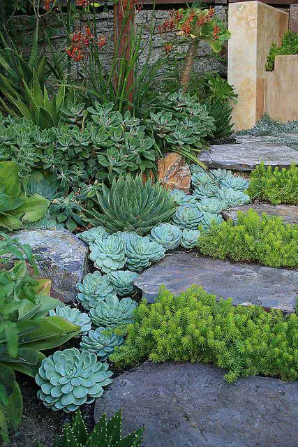 Backyard and Front yard Landscaping Ideas