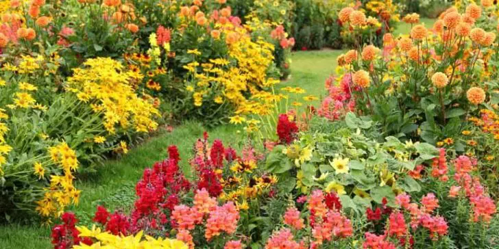 2023 Trending: Use These Ideas to Decorate Your Garden 11 - Garden Decor