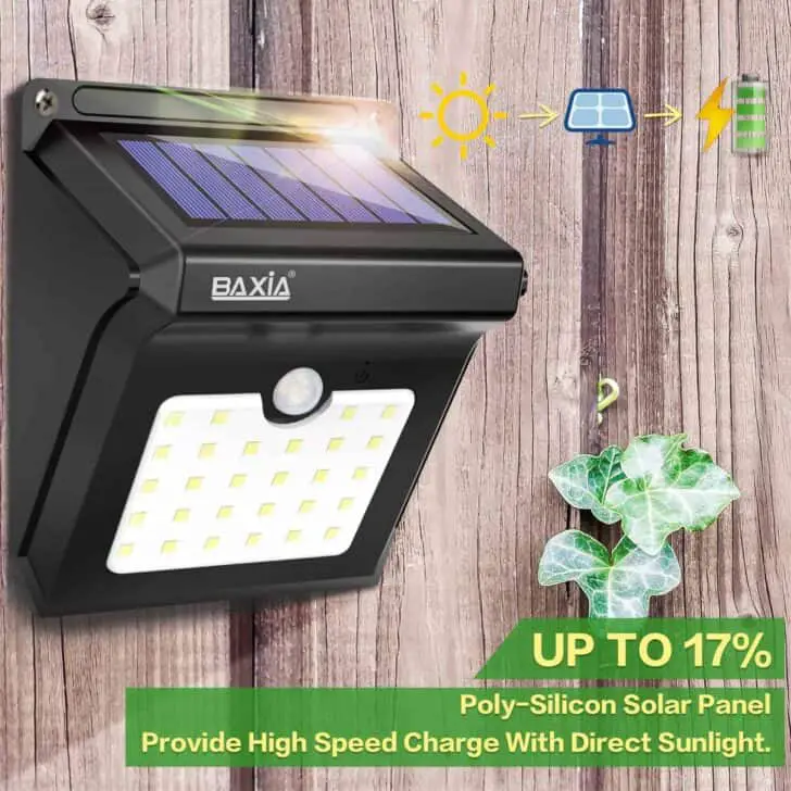 Best Outdoor Solar Lights